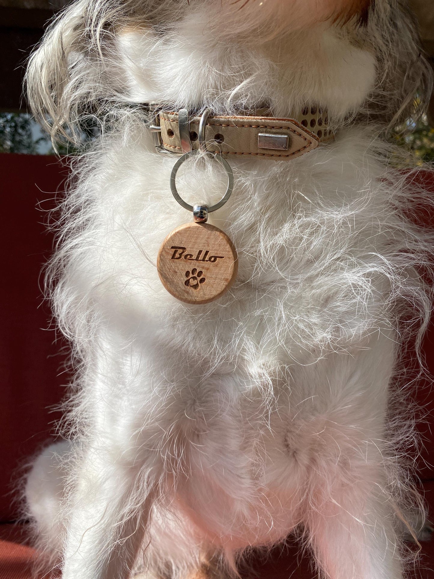 Namensanhänger Hundehalsband, Hundemarke Holz Namen Telefonnummer, Sicherheitsanhänger Hundehalsband, Halsband Hund, Halsbandanhänger