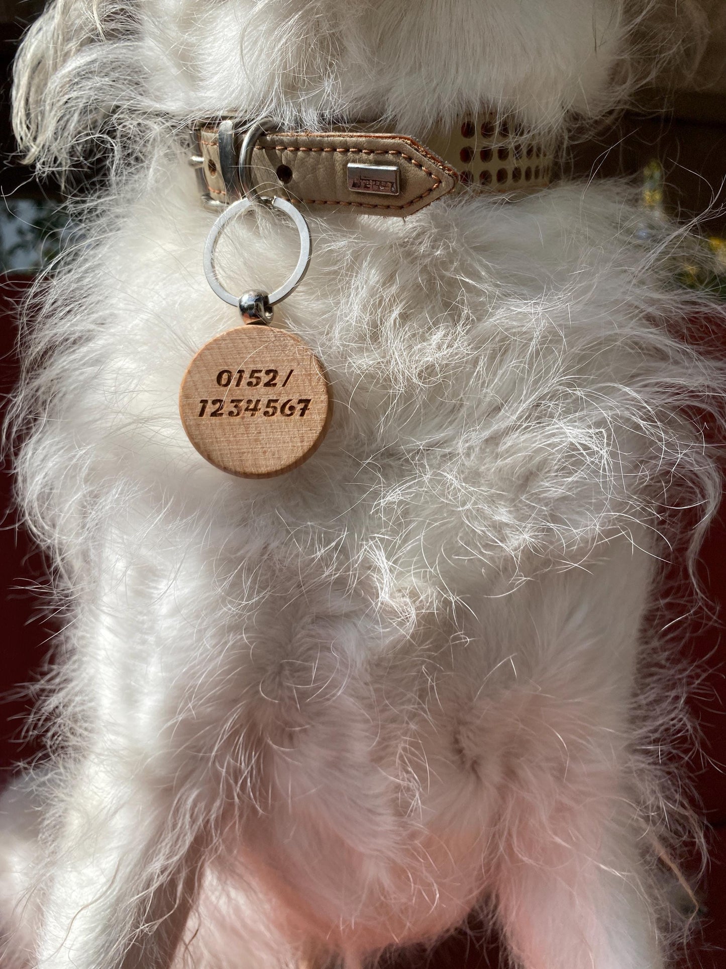 Namensanhänger Hundehalsband, Hundemarke Holz Namen Telefonnummer, Sicherheitsanhänger Hundehalsband, Halsband Hund, Halsbandanhänger